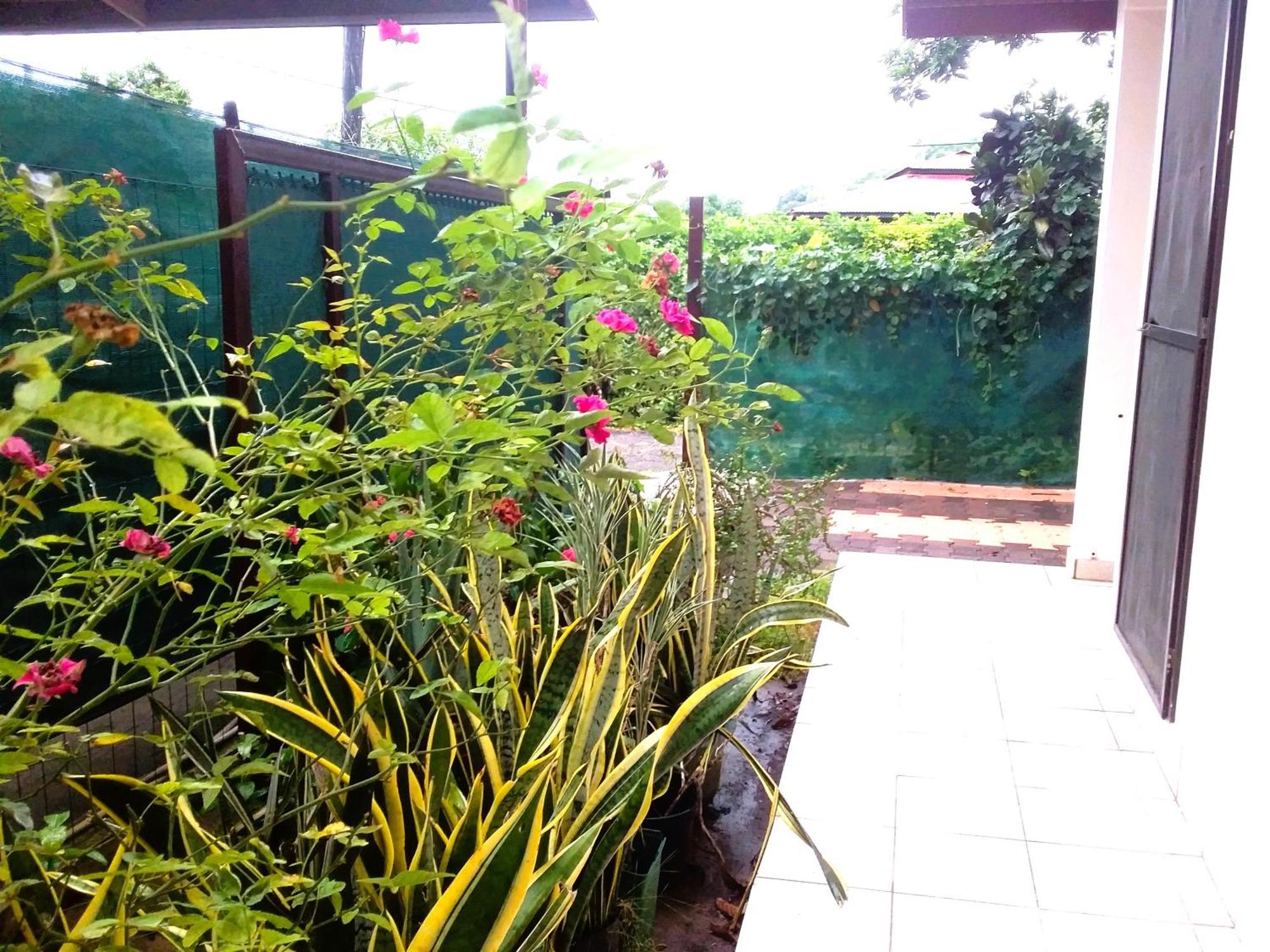 Belle Maison F3 帕皮提 外观 照片